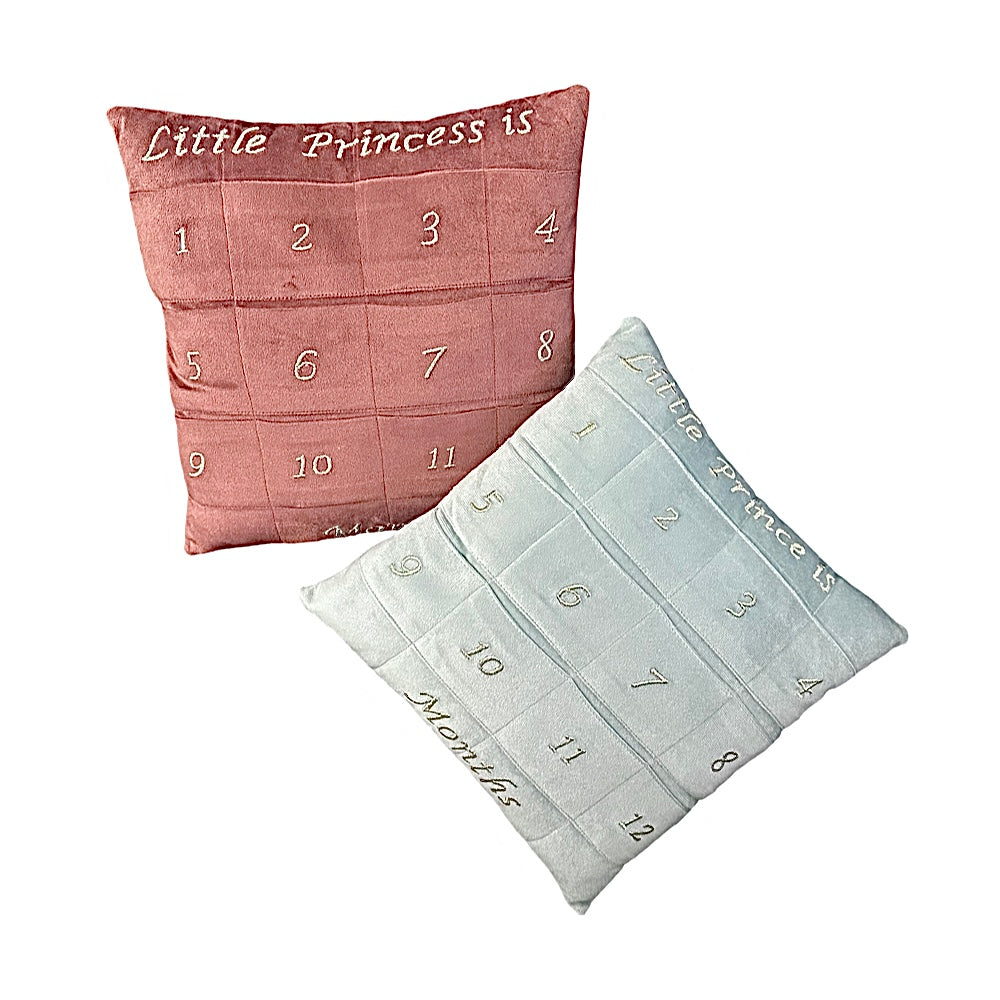 Milestone Cushion