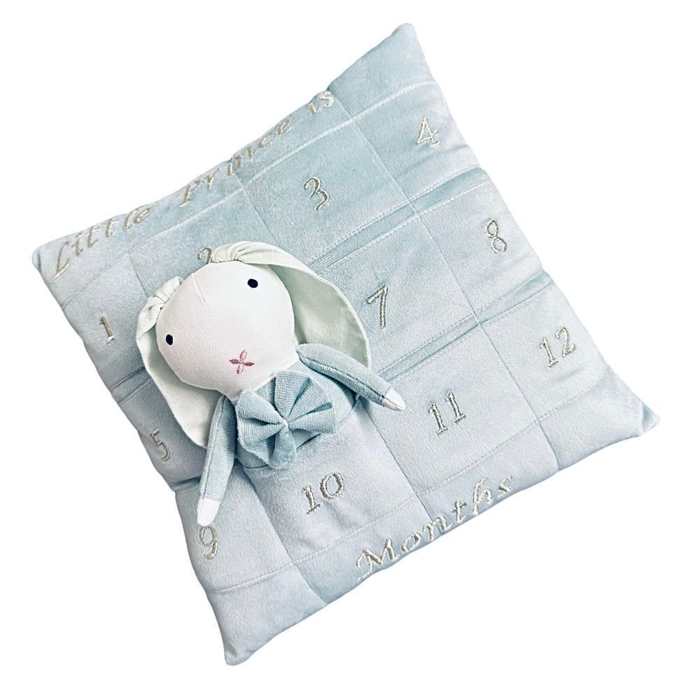 Milestone Cushion