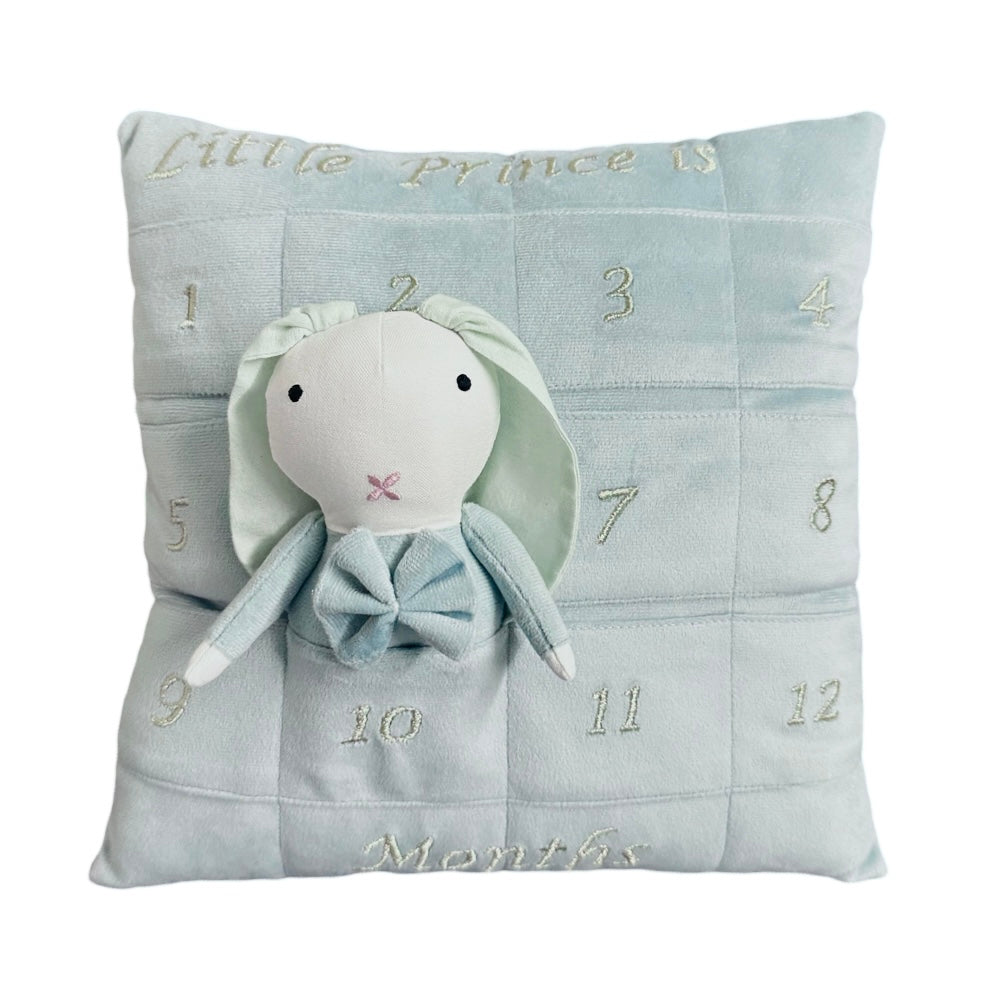 Milestone Cushion