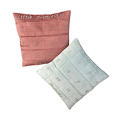 Milestone Cushion