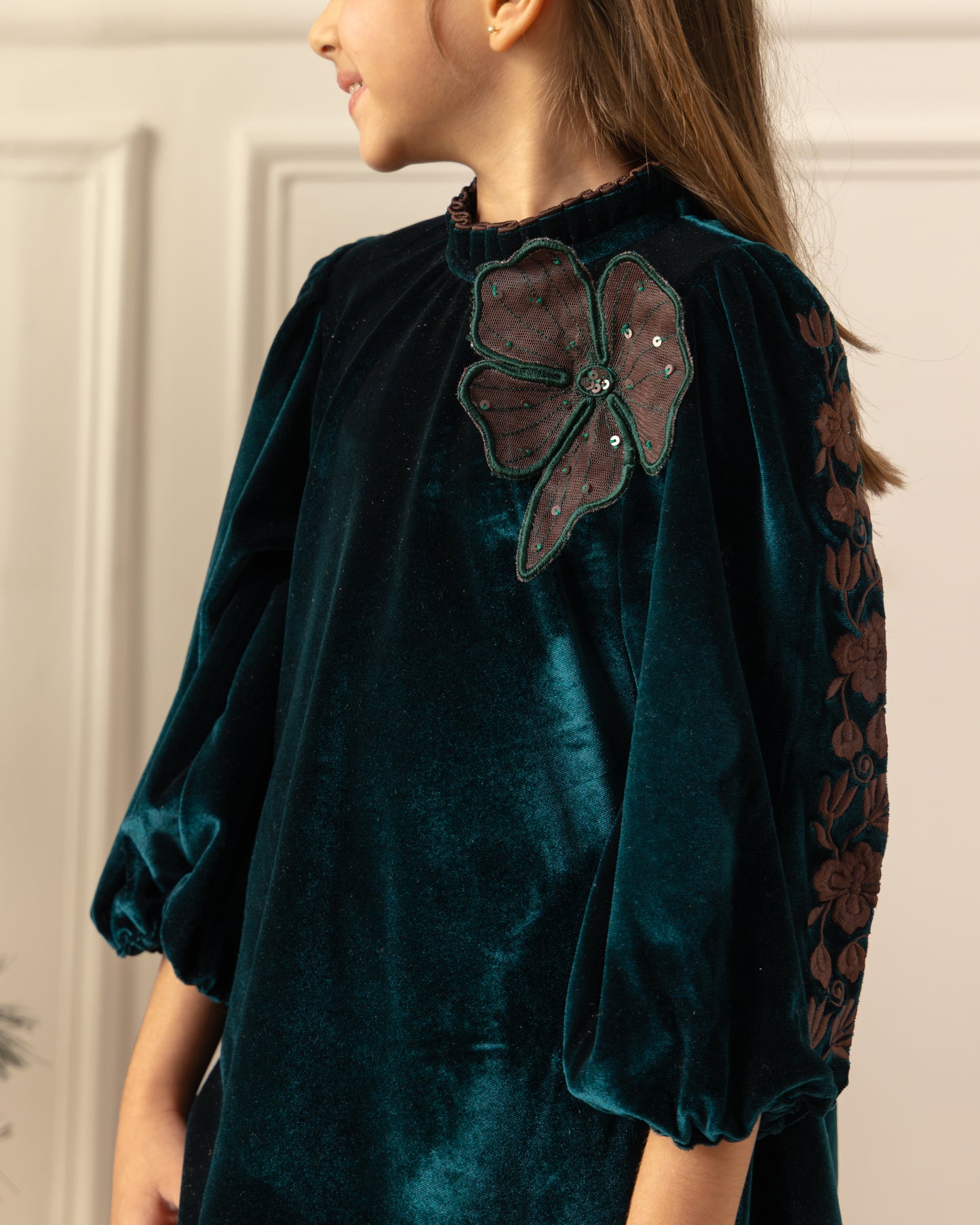 Embroidered Velvet Dress- Emrald Green