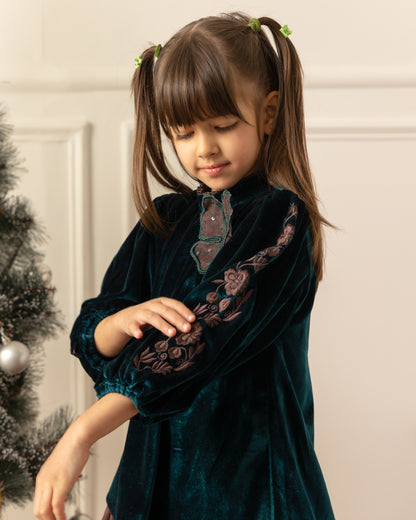 Embroidered Velvet Dress- Emrald Green