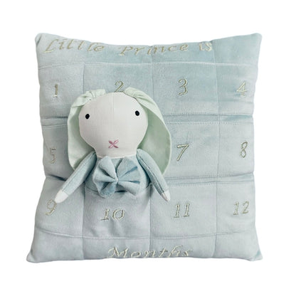Milestone Cushion