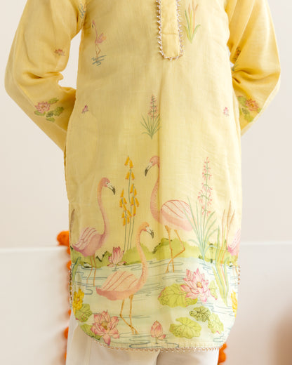 Pastel Yellow Kurta Set