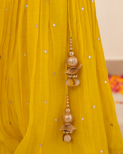 Ruhaani Yellow Lehenga Set