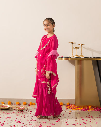 Rani Pink Gharara Set