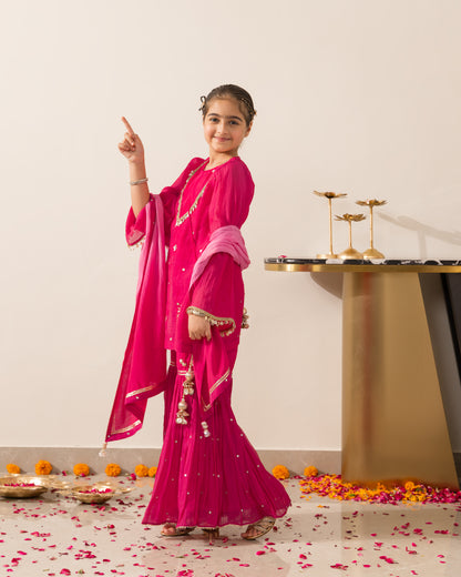 Rani Pink Gharara Set