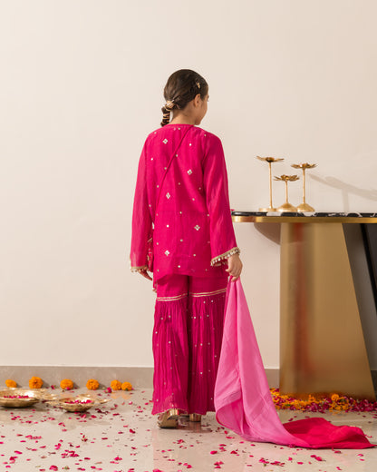 Rani Pink Gharara Set