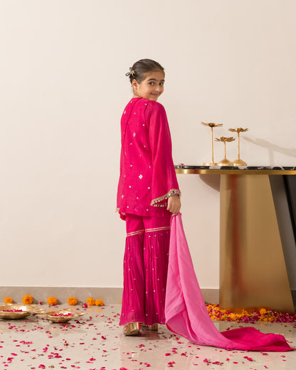 Rani Pink Gharara Set