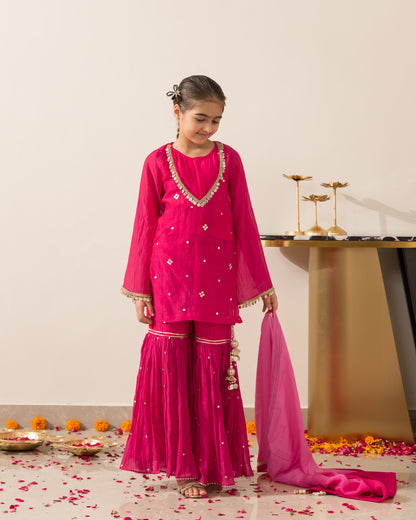 Rani Pink Gharara Set