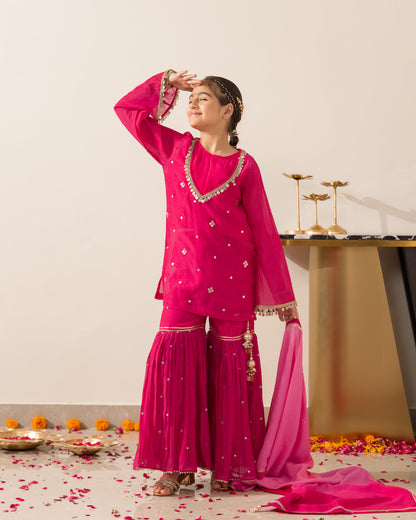 Rani Pink Gharara Set