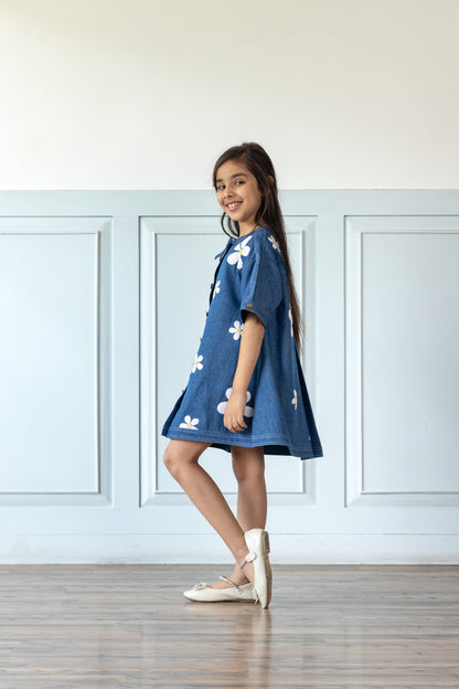 Daisy Embroidered Denim Dress