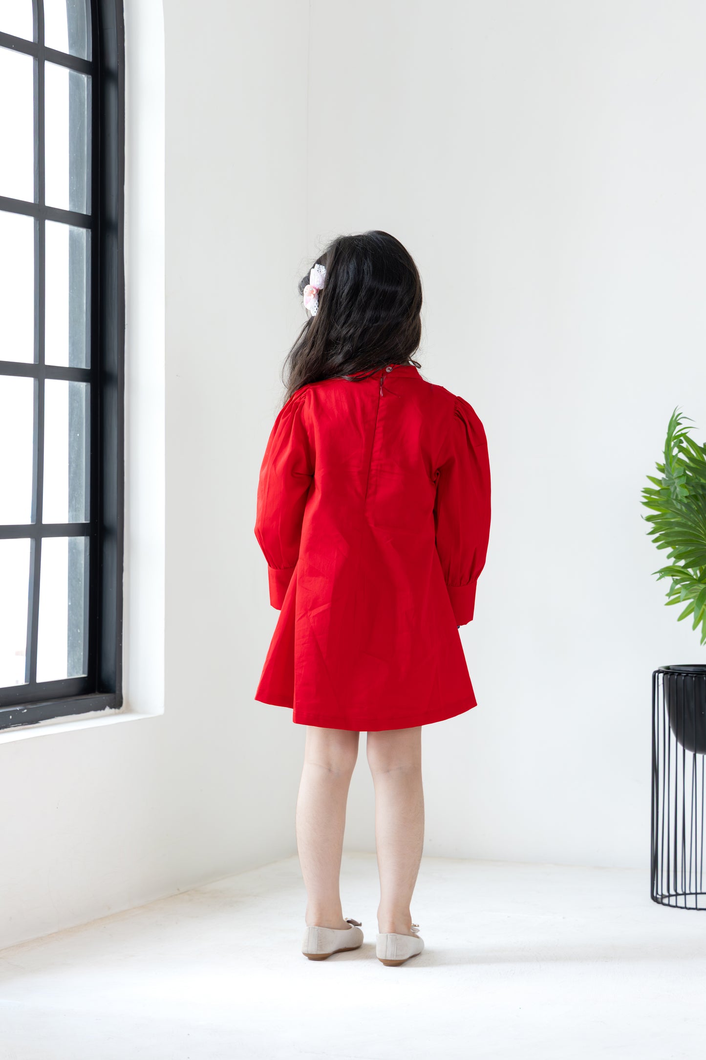 Red Overlay Dress