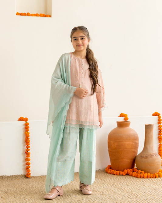 Blush & Mint Farshi Salwar Set