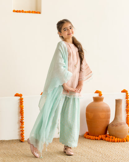 Blush & Mint Farshi Salwar Set