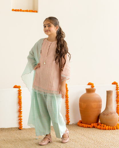 Blush & Mint Farshi Salwar Set