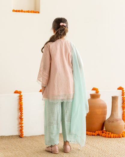 Blush & Mint Farshi Salwar Set