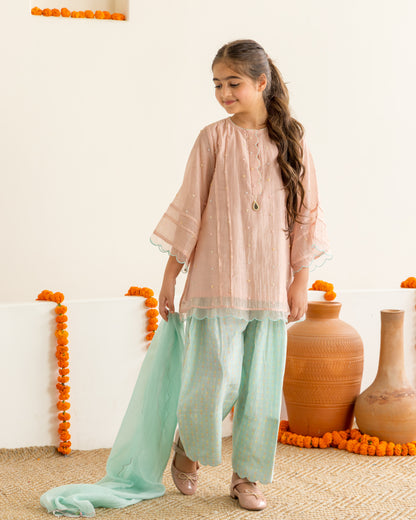 Blush & Mint Farshi Salwar Set