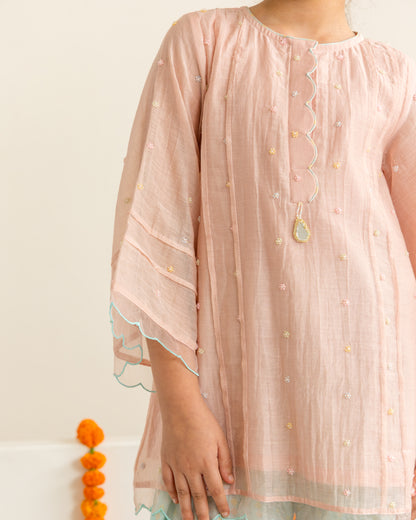 Blush & Mint Farshi Salwar Set