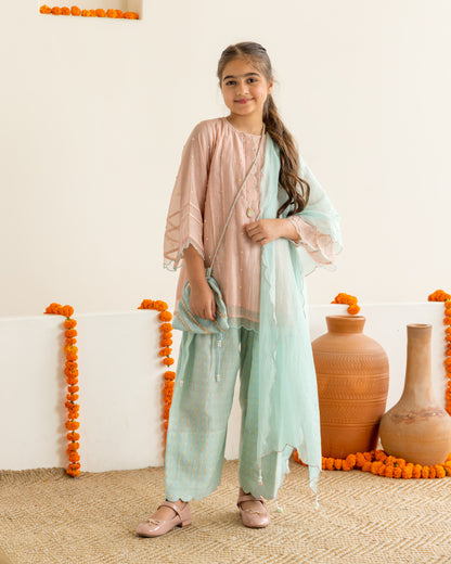 Blush & Mint Farshi Salwar Set