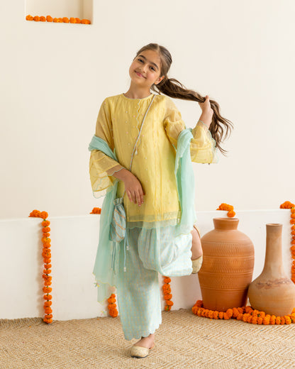 Yellow & Mint Farshi Salwar Set