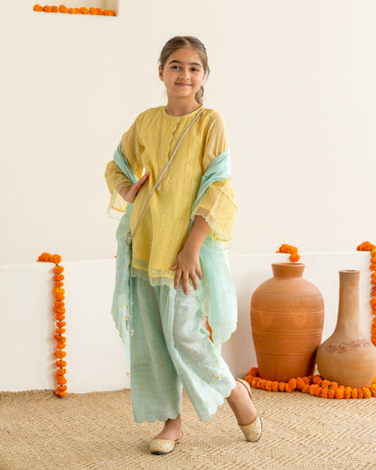 Yellow & Mint Farshi Salwar Set