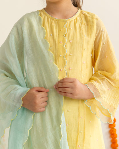 Yellow & Mint Farshi Salwar Set
