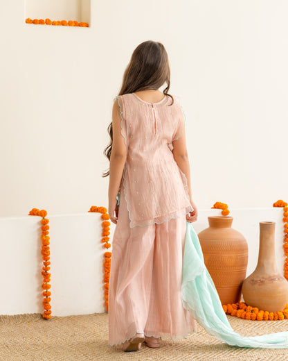 Sharara With Beaded Overlay Set- Peach