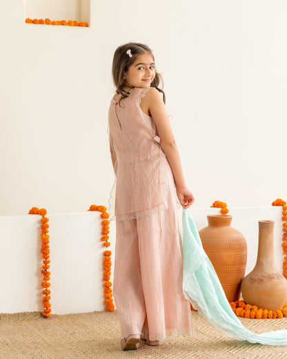 Sharara With Beaded Overlay Set- Peach