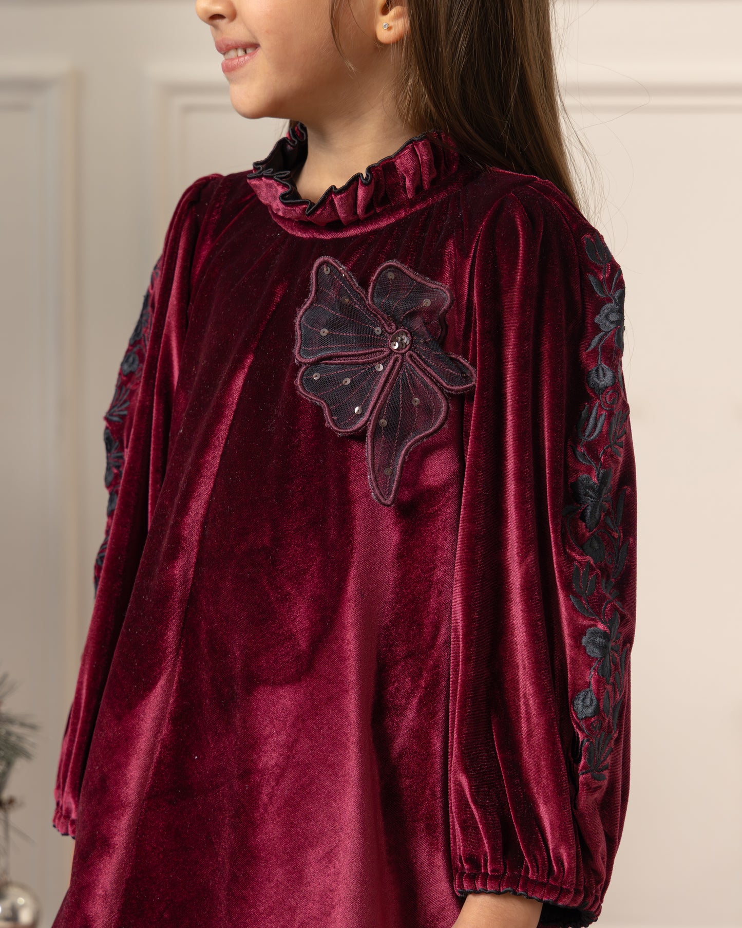 Embroidered Velvet Dress- Imperial Maroon