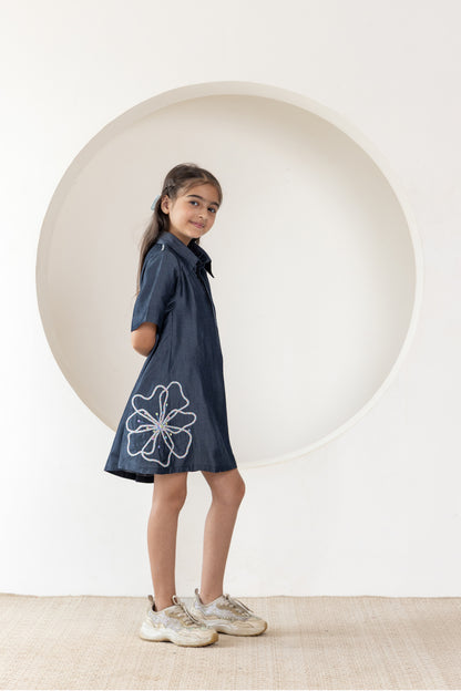 Tencel Denim Dress