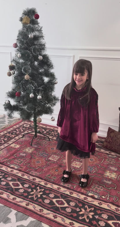 Embroidered Velvet Dress- Imperial Maroon